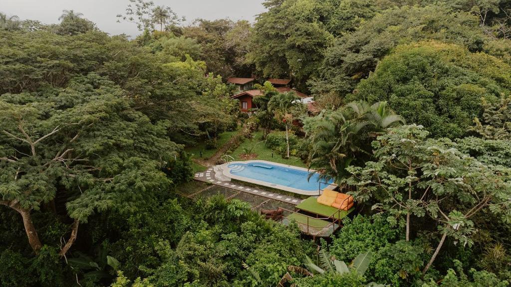 Lodge Mirador - Great Swimming Pool - Kitchen - Bbq - Netflix Tajo Alto Exterior photo